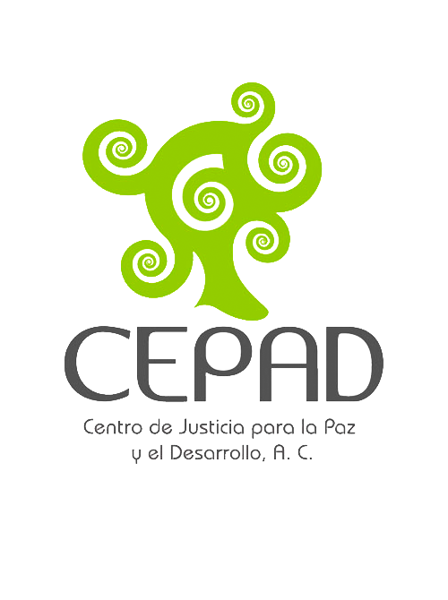 Informe - CEPAD